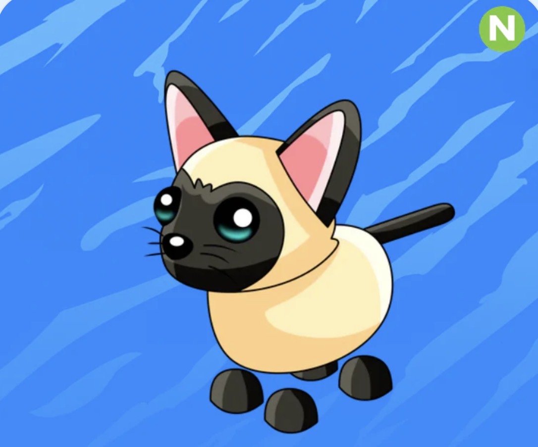 Neon Siamese Cat