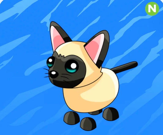 Neon Siamese Cat